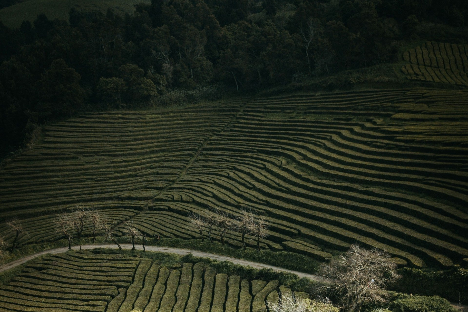 30+ Sustainable Fashion Certifications and Labels Guide POMP