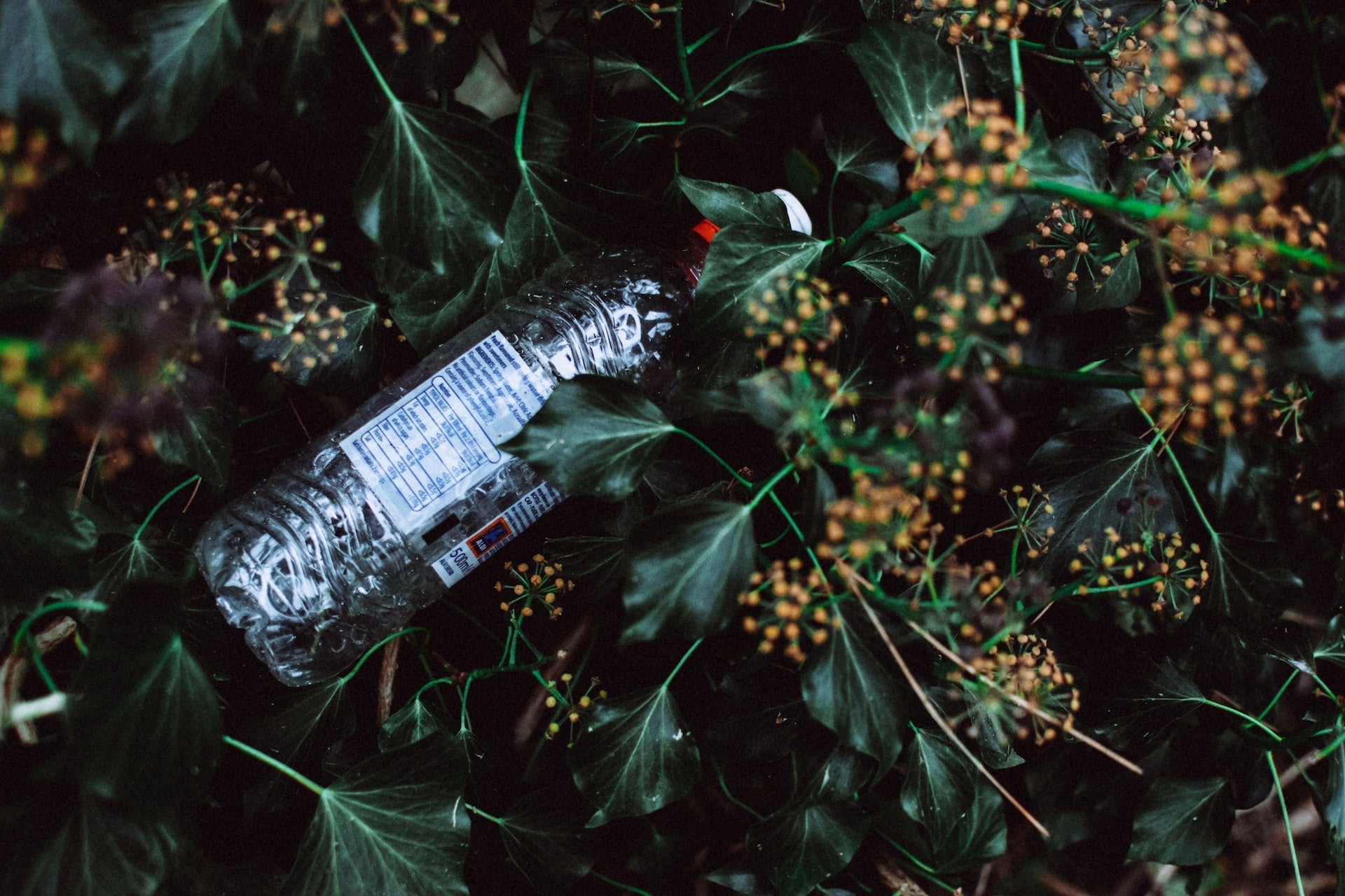 15 of The Best Recycled Clothing Brands for 2025
