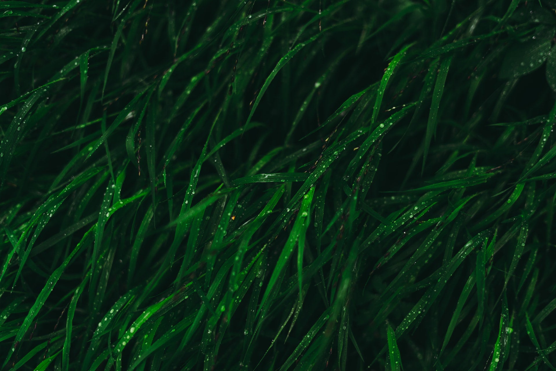 Sustainable Fashion Roundup - December