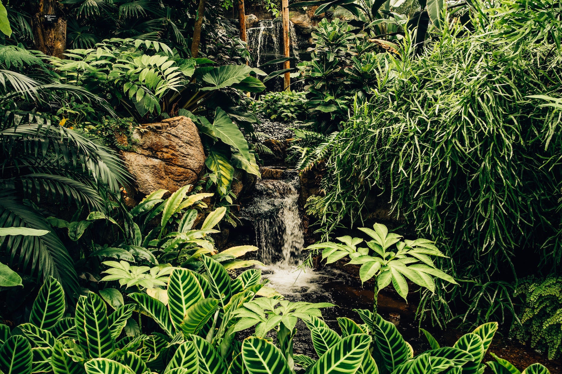 Sustainable Fashion Roundup - October