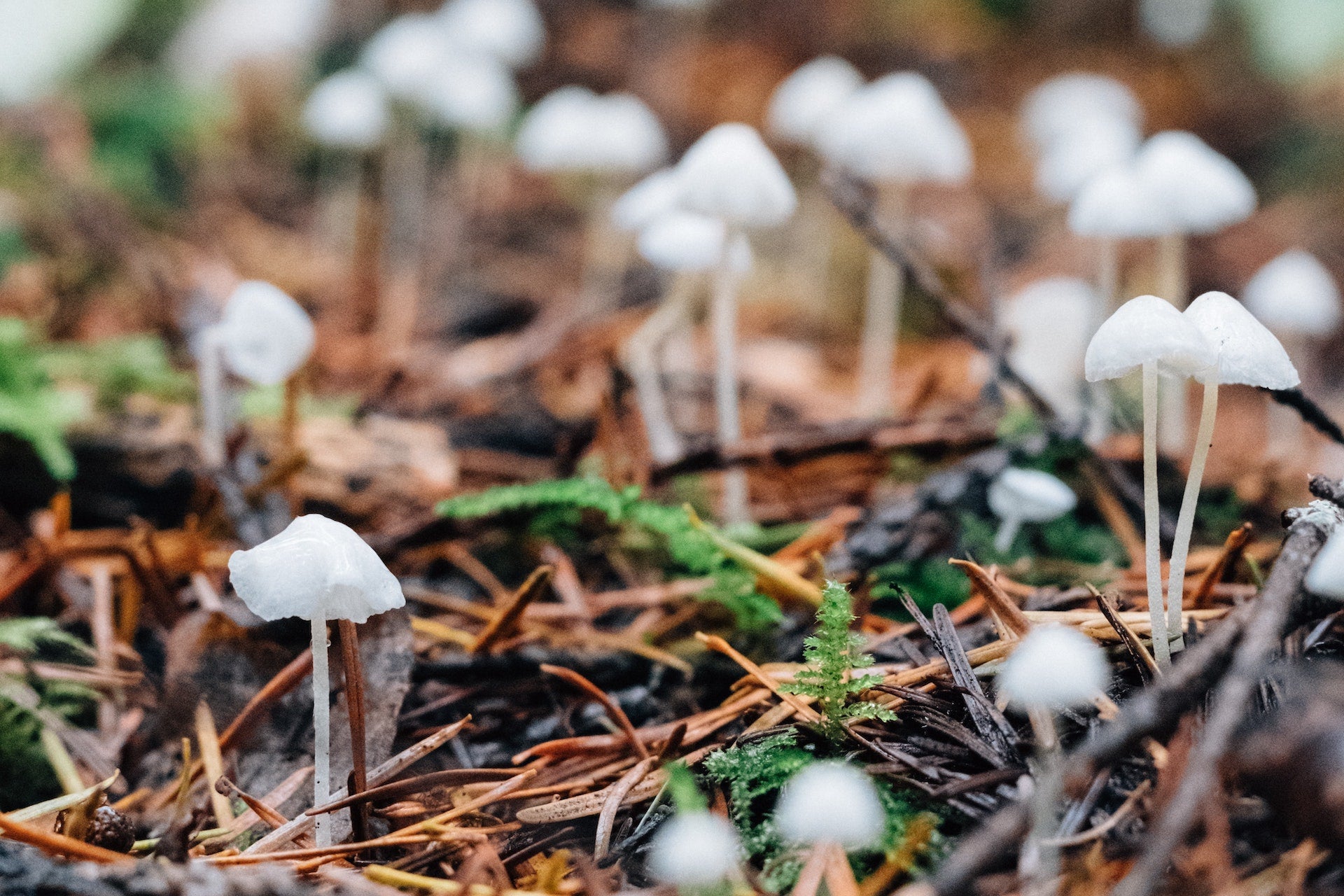 Sustainable Fashion Trends to Look Out for in 2023