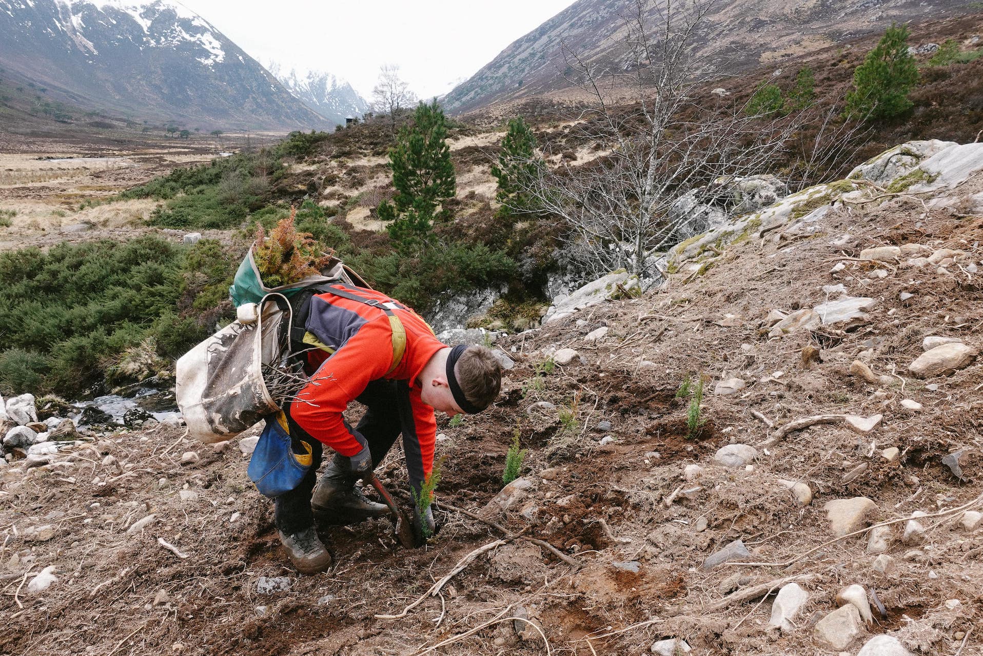 Reforestation and Rewilding: interview with Mossy Earth