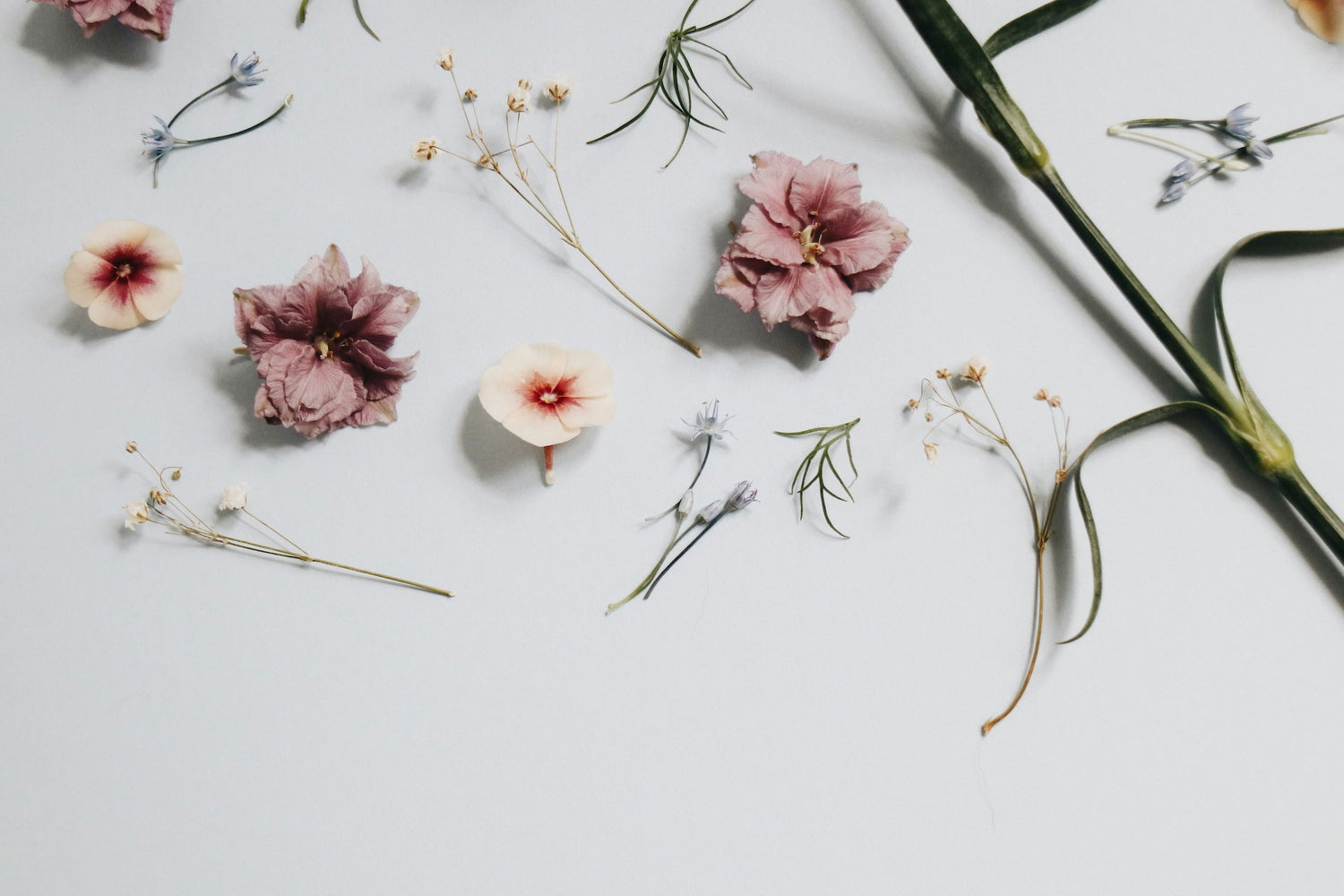 A few of the best quiet luxury fashion brands