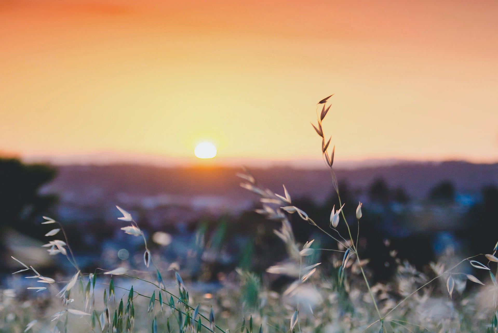 What does zero waste mean and why is it important?