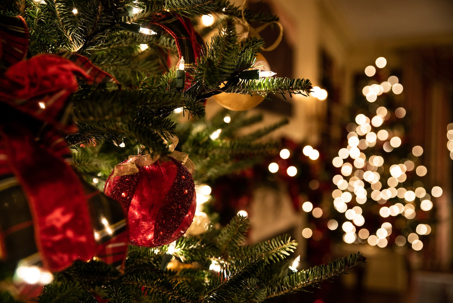 Sustainable Christmas Gift Ideas for 2024