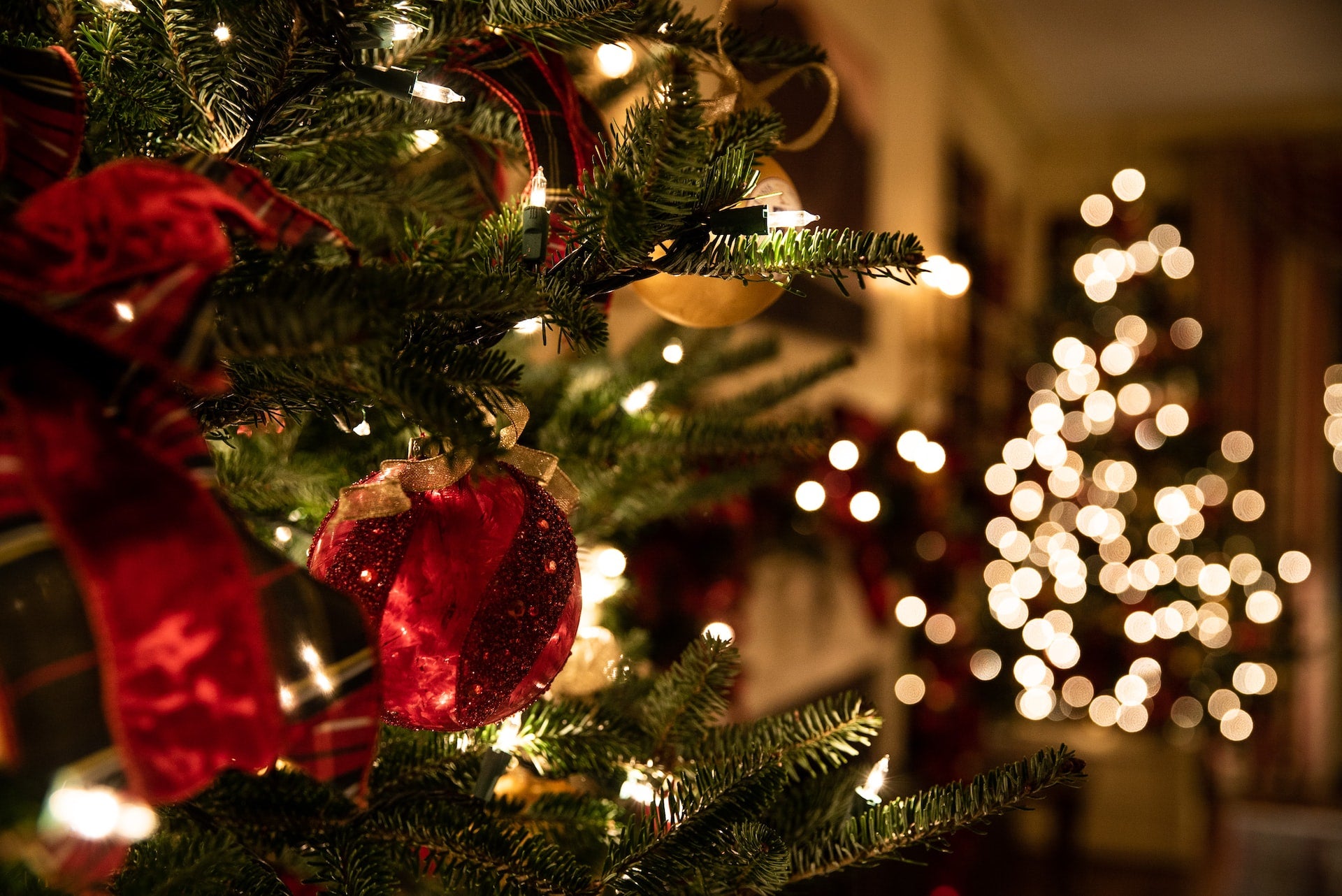 Sustainable Christmas Gift Ideas for 2024