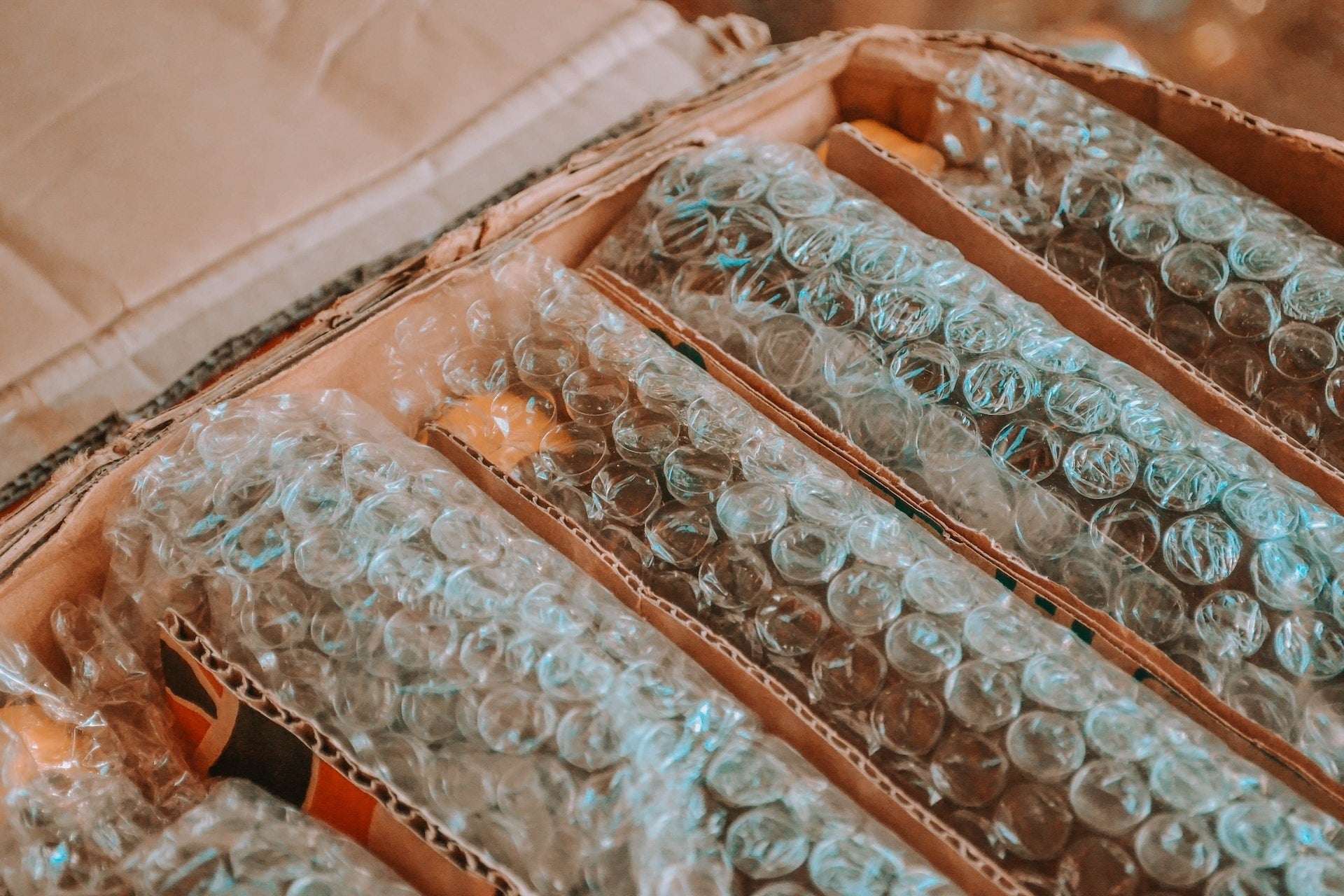 The coolest plastic-free compostable brand packaging