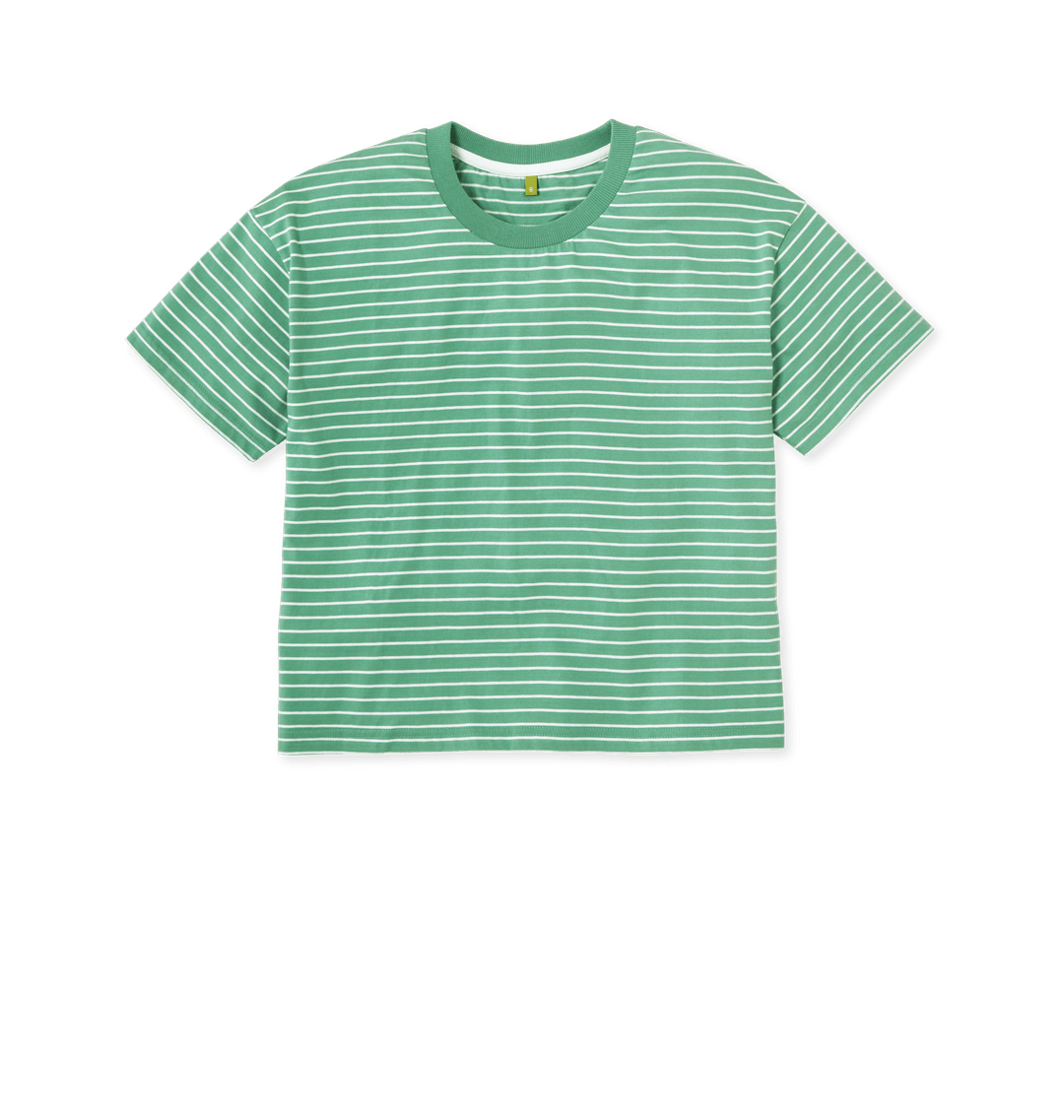 Green Stripes Printed T-shirt Front