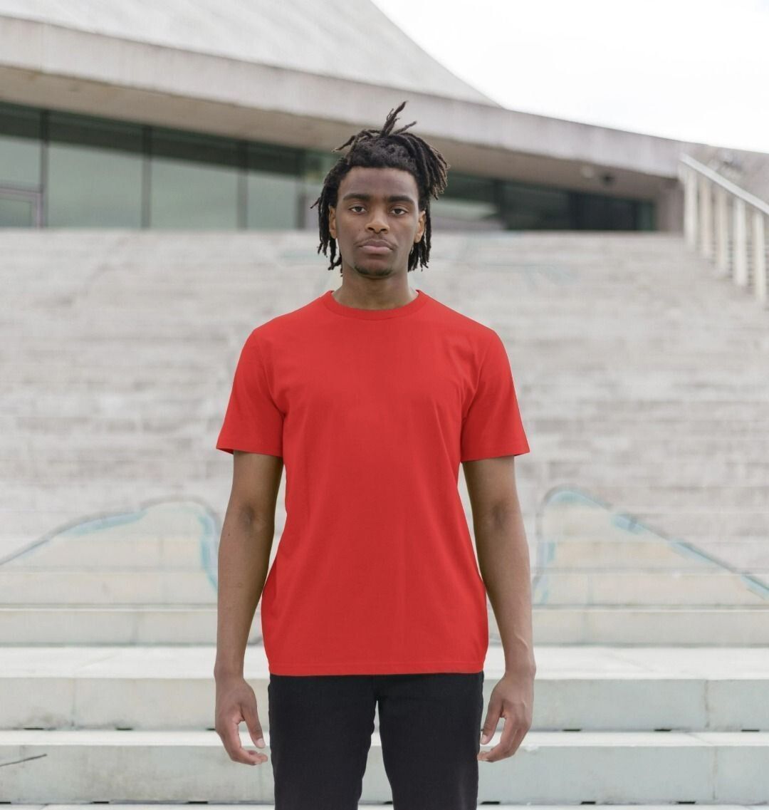 Men's organic cotton t-shirt