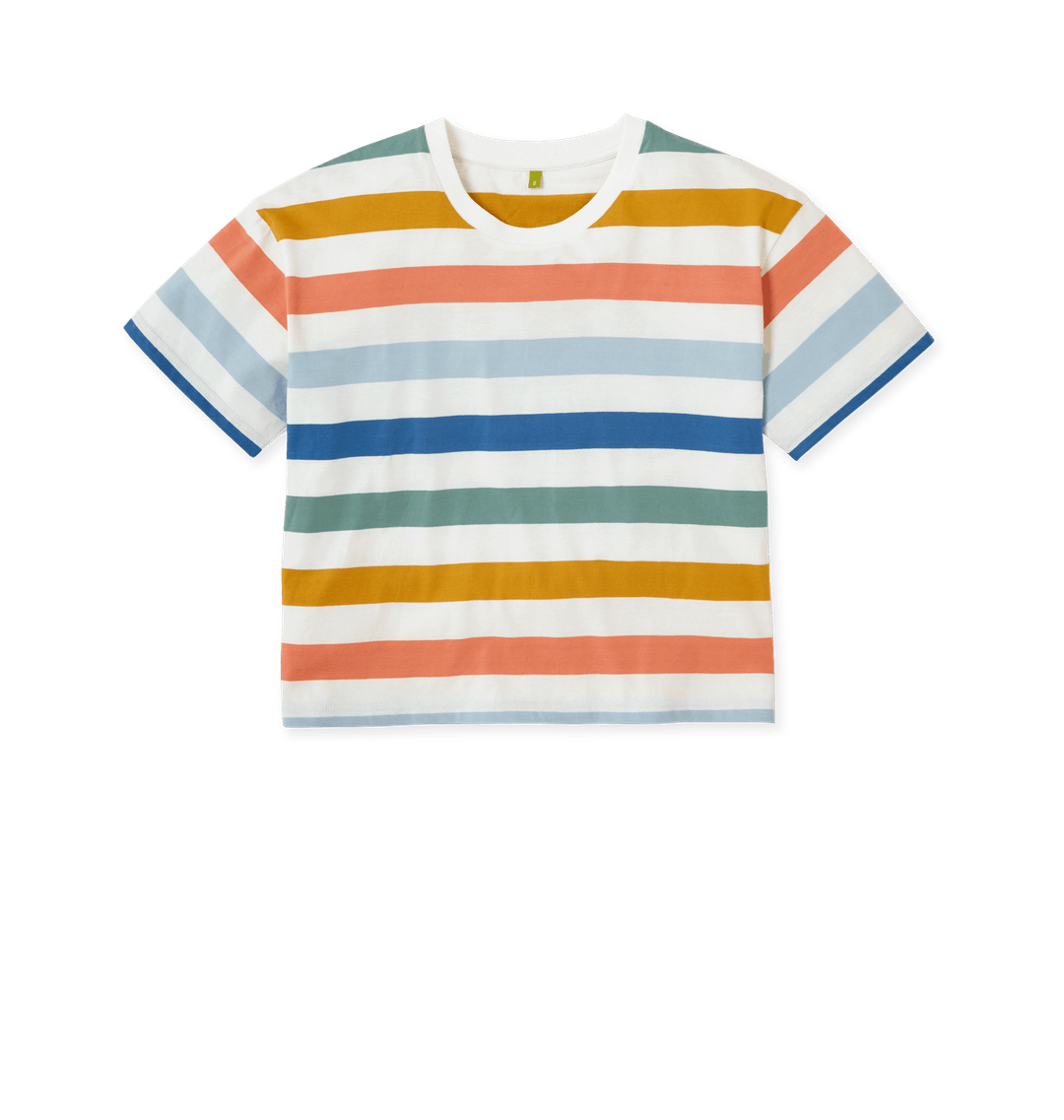Multicolour Stripes Printed T-shirt Front