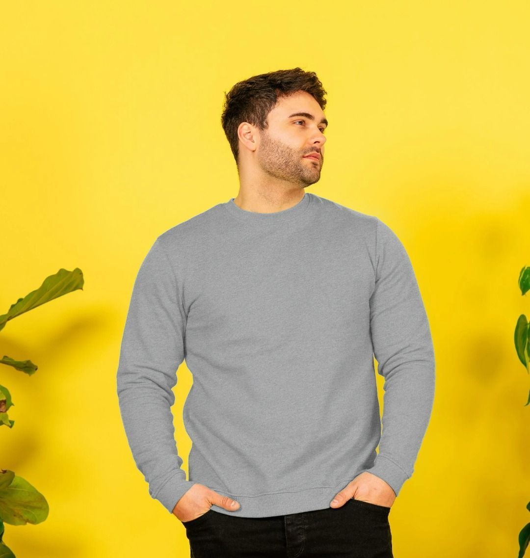 Men's organic cotton sweatshirt